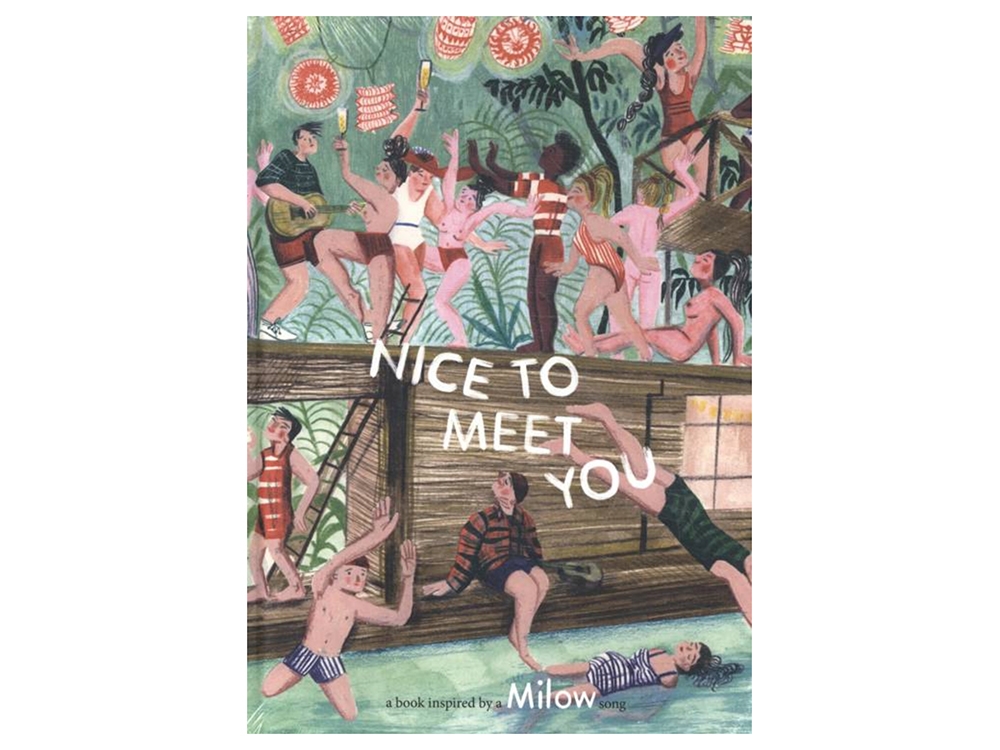 Nice To Meet You Lyric book