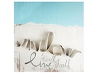 From North to South (Live) CD + DVD